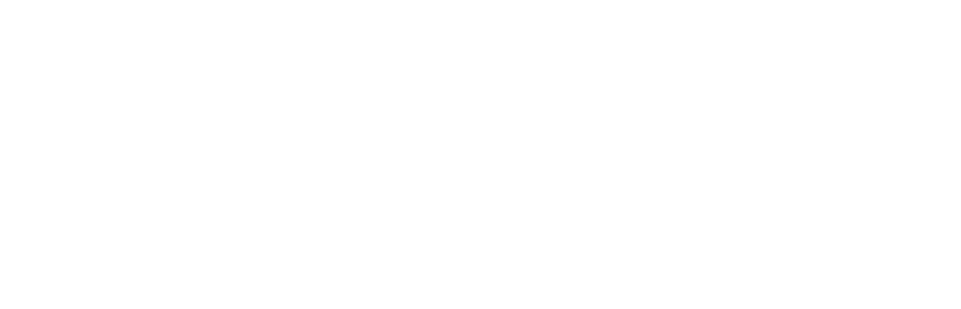 protouch painting & decorating logo upscaled white